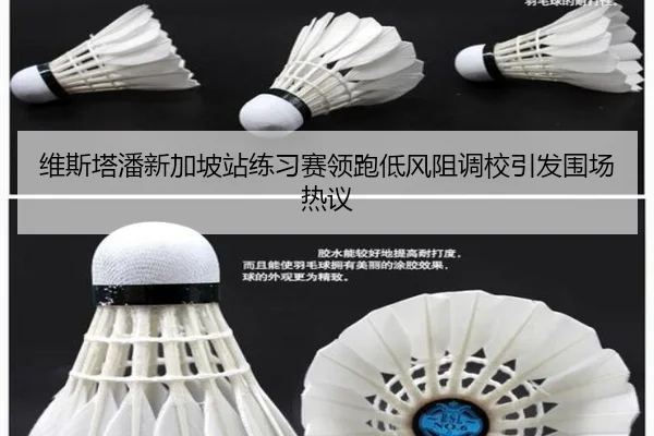 维斯塔潘新加坡站练习赛领跑低风阻调校引发围场热议 | 1xBETAPP